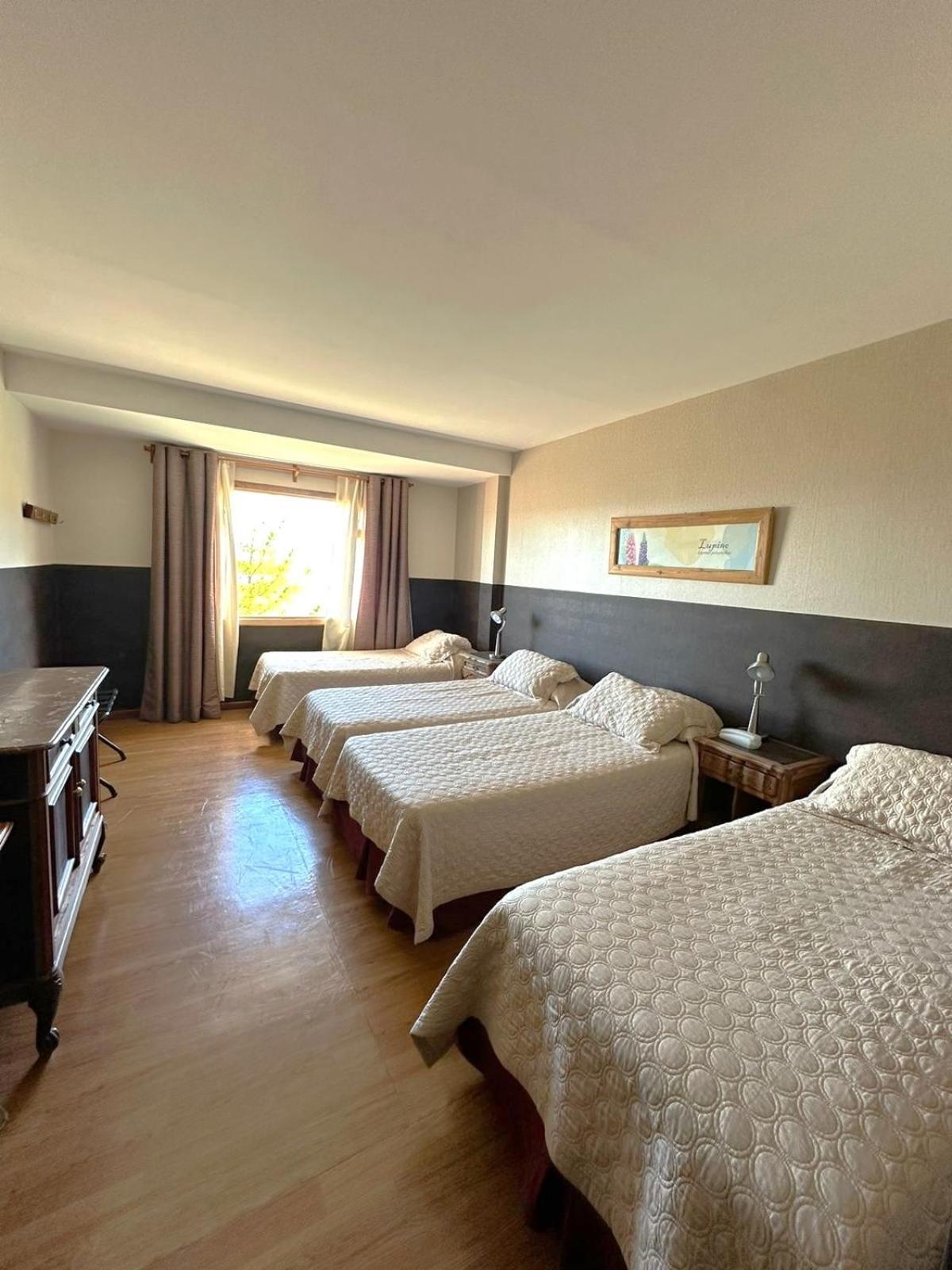 Meulen Hosteria Y Apart Эль-Калафате Номер фото